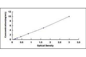Typical standard curve (TIMP3 ELISA Kit)