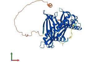 AlphaFold protein structure predicition of Human Recombinant ACOT7 Protein, UniprotID O00154 (ACOT7 Protein (AA 1-380) (His tag))