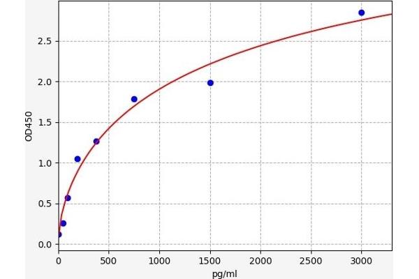 RORC ELISA Kit