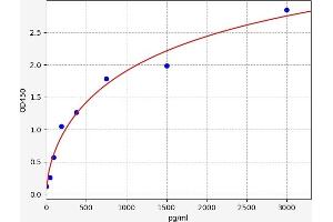 Typical standard curve (RORC ELISA Kit)