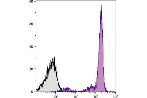 BALB/c mouse bone marrow cells were stained with Mouse Anti-Mouse CD45. (CD45.2 antibody  (PE-Cy7))