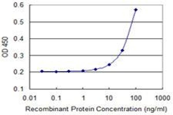 PEX11B antibody  (AA 1-98)
