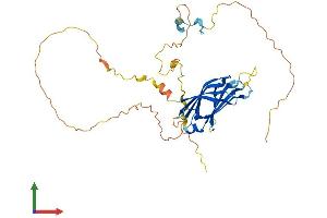 AlphaFold protein structure predicition of Human Recombinant C2CD4D Protein, UniprotID B7Z1M9 (C2cd4d Protein (AA 1-353) (His tag))