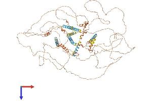 AlphaFold protein structure predicition of Mouse Recombinant Spata31 Protein, UniprotID E9QAF0 (Spata31 Protein (AA 1-1014) (His tag))