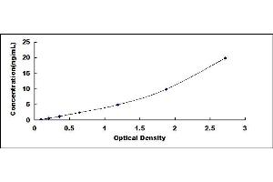 Typical standard curve (RAD51 Homolog ELISA Kit)