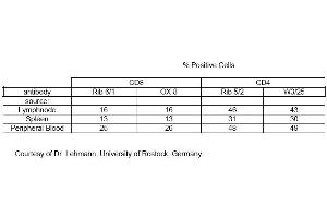 Comparison of CD4 and CD8 Monoclonal antibodies performed by flow cytometry (CD8 antibody)