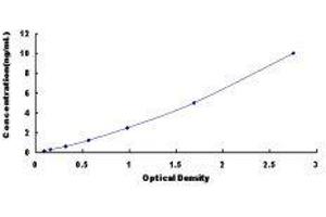 Chemokine (C-X-C Motif) Receptor 4 (CXCR4) ELISA Kit