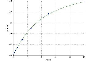Primase, DNA, Polypeptide 2 (58kDa) (PRIM2) ELISA Kit
