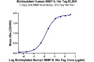 Immobilized Anti-MMP-9 Antibody, hFc Tag at 0. (MMP 9 Protein (His-Avi Tag,Biotin))