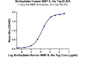 Immobilized Anti-MMP-9 Antibody, hFc Tag at 0. (MMP 9 Protein (His-Avi Tag,Biotin))