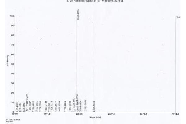 COL18A1 Protein (KLH)
