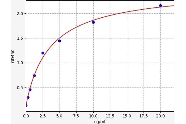 GFRA1 ELISA Kit