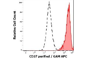 Separation of human CD37 positive lymphocytes (red-filled) from human CD37 negative lymphocytes (black-dashed) in flow cytometry analysis (surface staining) of peripheral whole blood stained using anti-human CD37 (MB-1) purified antibody (concentration in sample 0,2 μg/mL, GAM APC). (CD37 antibody)