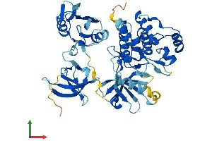AlphaFold protein structure predicition of Mouse Recombinant Ptk6 Protein, UniprotID Q64434 (PTK6 Protein (AA 1-451) (His tag))