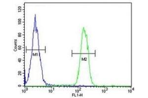 ARG1 antibody flow cytometric analysis of MDA-MB231 cells (green) compared to a negative control (blue).