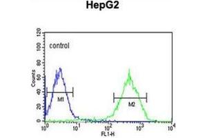 Flow cytometric analysis of HepG2 cells using NDUFA10 Antibody (Center) Cat. (NDUFA10 antibody  (Middle Region))