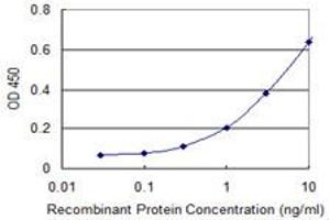 Detection limit for recombinant GST tagged EEF1G is 0. (EEF1G antibody  (AA 1-437))
