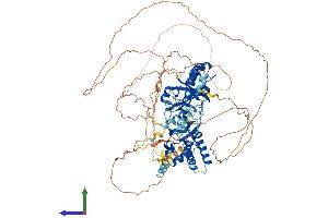 AlphaFold protein structure predicition of Human Recombinant RNF10 Protein, UniprotID Q8N5U6 (RNF10 Protein (AA 1-811) (His tag))