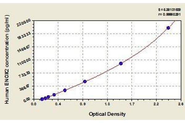 ENOX2 ELISA Kit