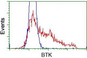 Image no. 2 for anti-Bruton Agammaglobulinemia tyrosine Kinase (BTK) antibody (ABIN1496977) (BTK antibody)