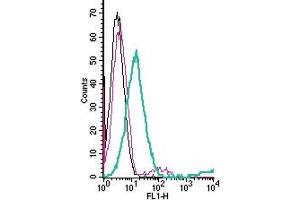 Cell surface detection of CD73 by direct flow cytometry in live intact human Jurkat T-cell leukemia cells:___ Cells.