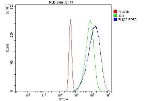 Flow Cytometry analysis of A431 cells using anti-NSE antibody (ABIN6719549). (ENO2/NSE antibody)