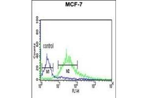 LXN Antibody (ABIN6242431 and ABIN6579060) flow cytometric analysis of MCF-7 cells (right histogram) compared to a negative control cell (left histogram).