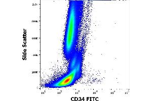 Flow Cytometry (FACS) image for anti-CD34 (CD34) antibody (FITC) (ABIN1027678)