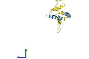 AlphaFold protein structure predicition of Mouse Recombinant Fam162a Protein, UniprotID Q9D6U8 (F162A Protein (AA 1-155) (His tag))