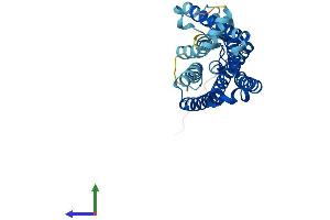 AlphaFold protein structure predicition of Human Recombinant OR10J1 Protein, UniprotID P30954 (OR10J1 Protein (AA 1-320) (His tag))