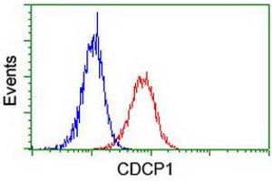 Image no. 3 for anti-CUB Domain Containing Protein 1 (CDCP1) antibody (ABIN1497412) (CDCP1 antibody)