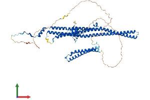 AlphaFold protein structure predicition of Mouse Recombinant Fnbp1 Protein, UniprotID Q80TY0 (FNBP1 Protein (AA 1-616) (His tag))
