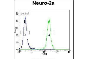 Flow cytometric analysis of Neuro-2a cells (right histogram) compared to a negative control cell (left histogram). (MAF1 antibody  (AA 90-117))