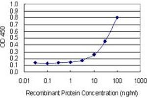 Detection limit for recombinant GST tagged MMP3 is 1 ng/ml as a capture antibody. (MMP3 antibody  (AA 22-131))