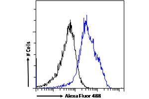 (ABIN334460) Flow cytometric analysis of paraformaldehyde fixed MCF7 cells (blue line), permeabilized with 0. (PINK1 antibody  (Internal Region))