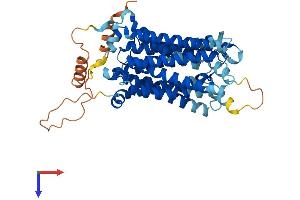 SLC29A3 Protein (AA 1-475) (His tag)