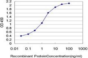 Detection limit for recombinant GST tagged NUP133 is 0. (NUP133 antibody  (AA 1069-1155))