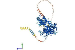 AlphaFold protein structure predicition of Human Recombinant WSCD2 Protein, UniprotID Q2TBF2 (WSCD2 Protein (AA 1-565) (His tag))