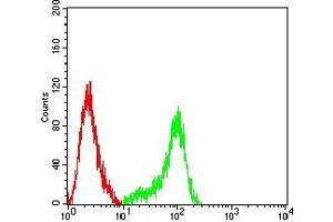 Flow cytometric analysis of THP-1 cells using CD314 mouse mAb (green) and negative control (red). (KLRK1 antibody  (AA 73-216))