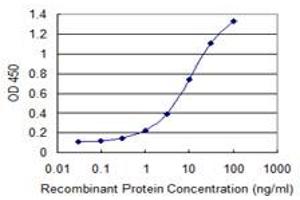 Detection limit for recombinant GST tagged GNL3 is 0. (Nucleostemin antibody  (AA 328-427))