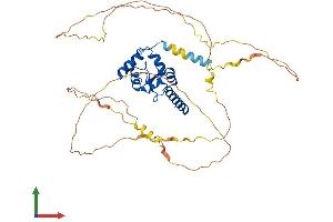 Protein Structure (PS) image for Stromal Membrane Associated Protein 1 (SMAP1) (AA 1-440) protein (His tag) (ABIN7560006)