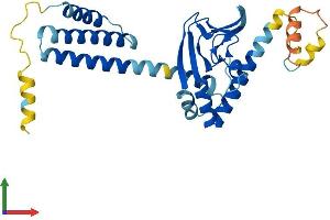 AlphaFold protein structure predicition of Mouse Recombinant Popdc3 Protein, UniprotID Q9ES81 (POPDC3 Protein (AA 1-291) (His tag))