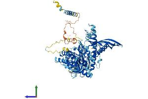 Protein Structure (PS) image for Chondroitin Polymerizing Factor 2 (CHPF2) (AA 1-772) protein (His tag) (ABIN7553371)