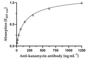 Affinity determination of anti-kanamycin specific mAb against kanamycin-BSA conjugate. (Kanamycin antibody)
