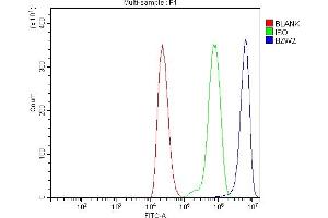 Flow Cytometry analysis of THP-1 cells using anti-BZW2 antibody (ABIN7600608).