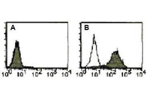 Flow Cytometry (FACS) image for anti-CD274 (PD-L1) antibody (FITC) (ABIN1449171) (PD-L1 antibody  (FITC))