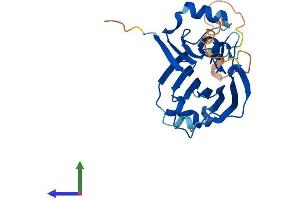 Protein Structure (PS) image for TIP41-like protein (TIPRL) (AA 1-272) protein (His tag) (ABIN7544440)