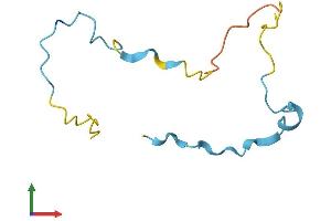 AlphaFold protein structure predicition of Human Recombinant SMPX Protein, UniprotID Q9UHP9 (SMPX Protein (AA 1-88) (Fc Tag))