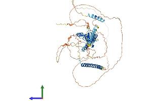 AlphaFold protein structure predicition of Human Recombinant MLPH Protein, UniprotID Q9BV36 (Melanophilin Protein (MLPH) (AA 1-600) (His tag))