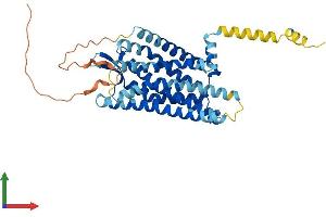 AlphaFold protein structure predicition of Human Recombinant OPRK1 Protein, UniprotID P41145 (OPRK1 Protein (AA 1-380) (His tag))